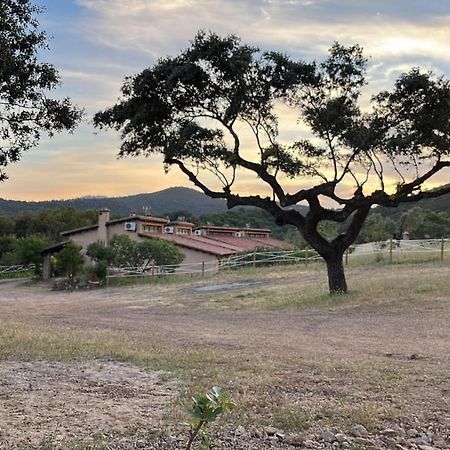 Apartamentos Rurales En Plena Sierra La Calera Zewnętrze zdjęcie