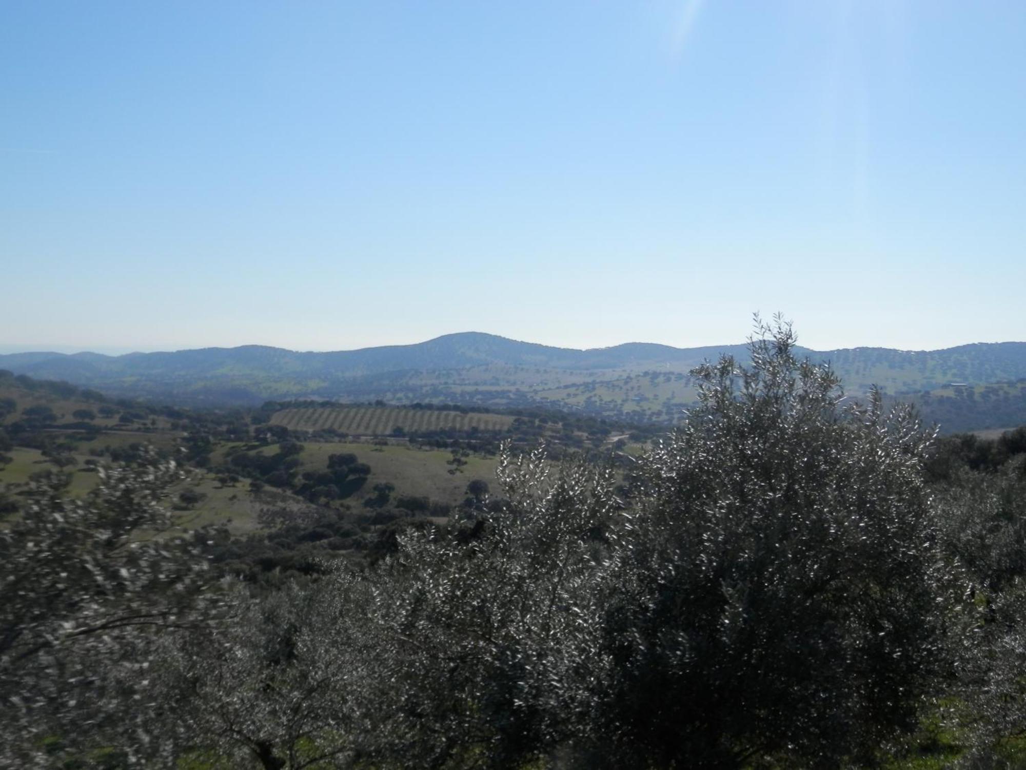 Apartamentos Rurales En Plena Sierra La Calera Zewnętrze zdjęcie
